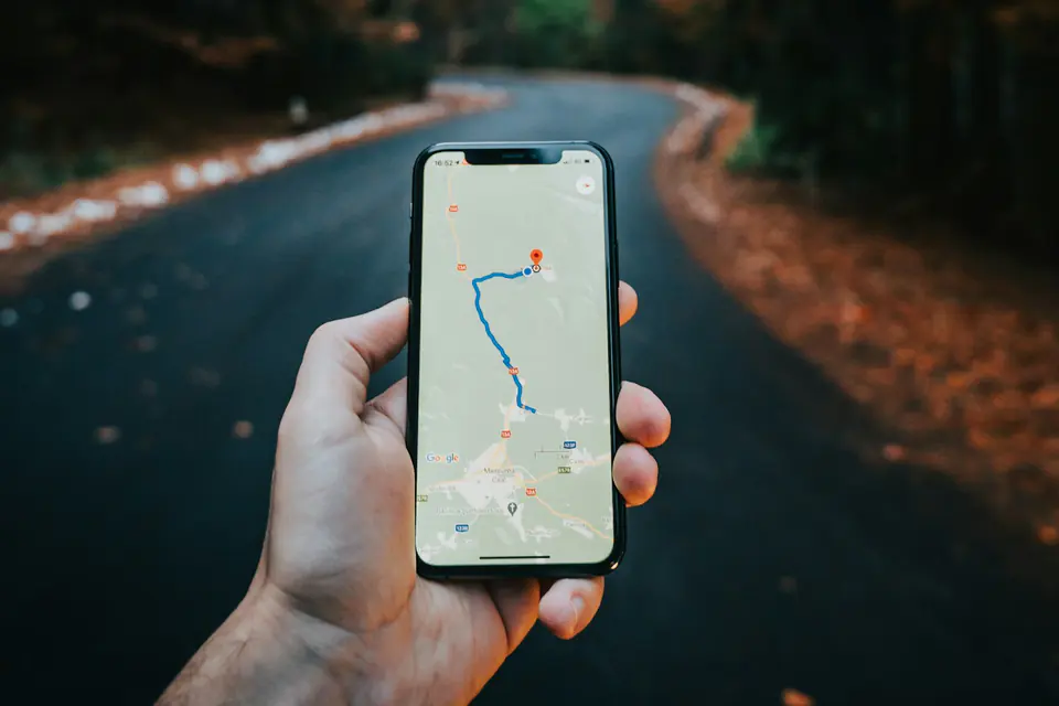 A hand holds a phone showing a route map on a wooded road.